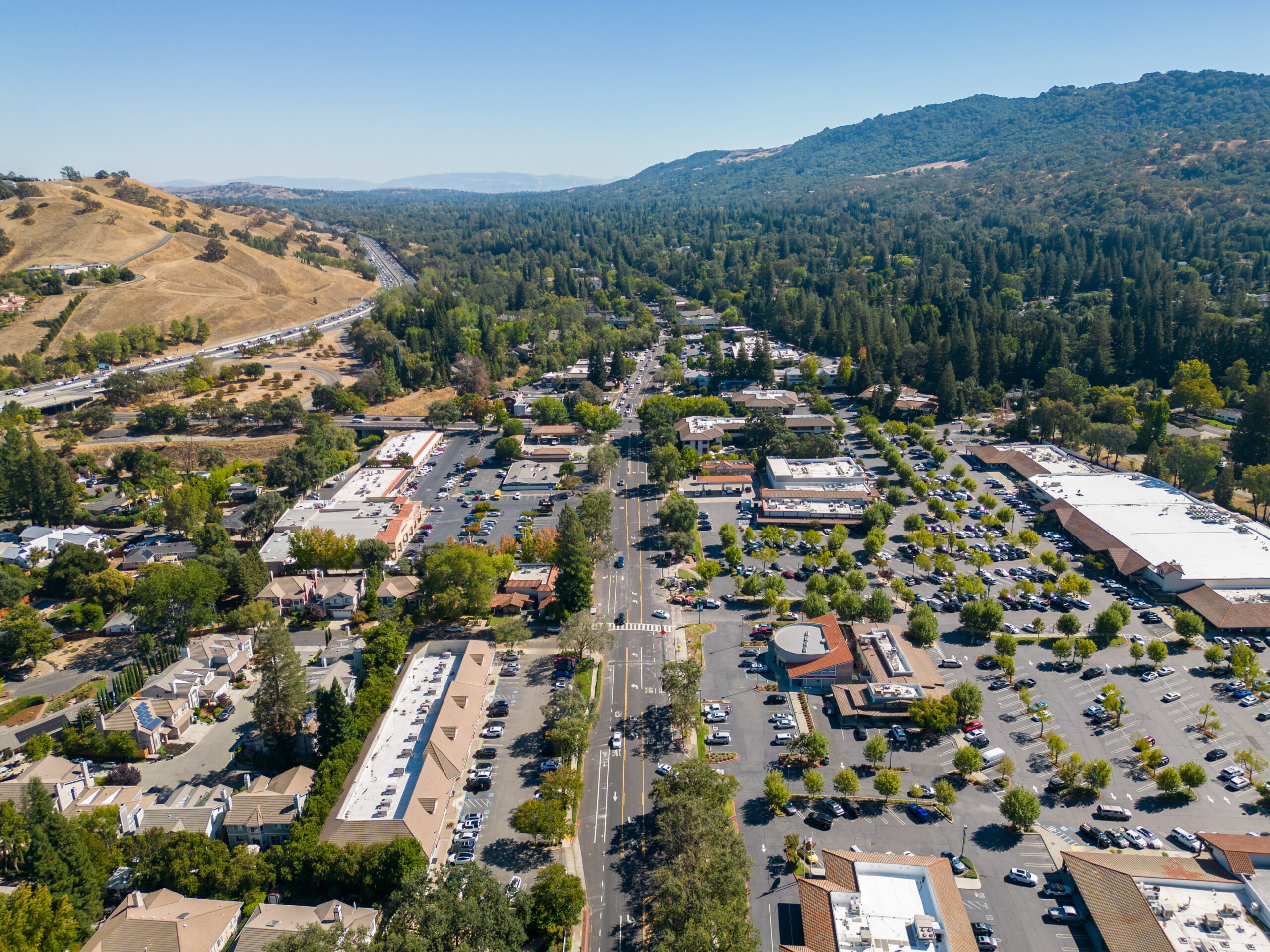 Alamo residential homes and park with oak trees